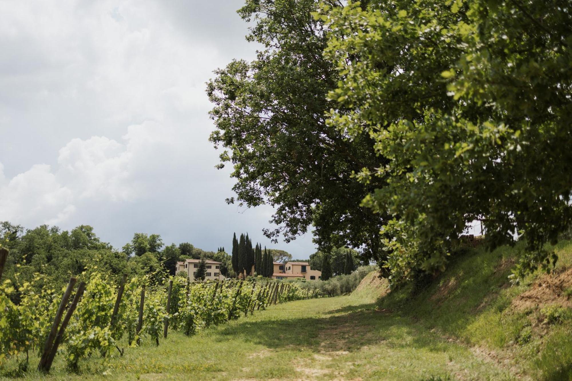 Villa Delia Hotel And Cooking School Rivoli  Kültér fotó